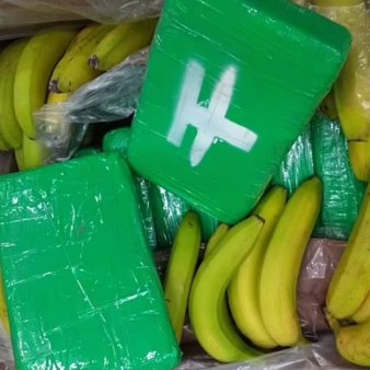 Captura record de droguri intr-un transport de banane