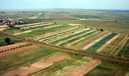 Holdingul de agricultura ROCA Agri RDF vrea sa lanseze o Institutie Financiara Nebancara (IFN), pentru finantarea sectorului agricol