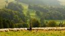 S-a deschis prima Academie pentru ciobani din Bulgaria