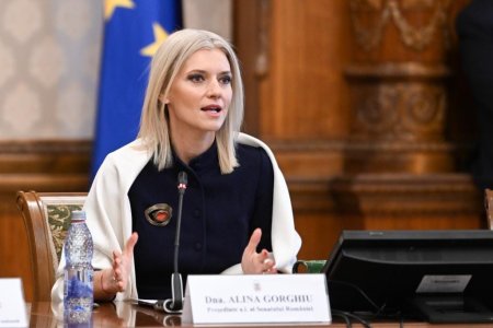 Alina Gorghiu: Este primul fugar pe care il aduc in mandatul meu de ministru
