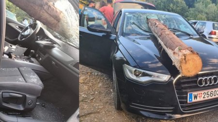 Mafia lemnului din Buzau si Covasna face victime: GRAV accident pe DN10