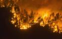 Alerta de evacuare in cel mai mare oras din nordul Canadei, din cauza incendiilor <span style='background:#EDF514'>FORESTIER</span>e