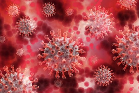 OMS si Statele Unite, vigilenta maxima cu noua varianta a virusului infectiei Covid-19