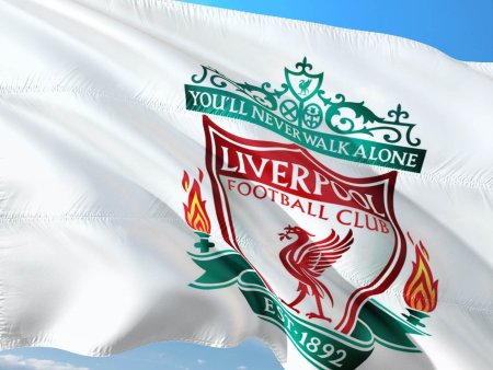 FC Liverpool l-a prezentat oficial pe japonezul Wataru Endo