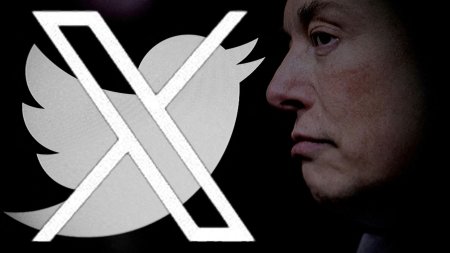 X/Twitter va confirma identitatea utilizatorilor pe baza „<span style='background:#EDF514'>BULETIN</span>ului”
