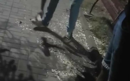 Ce au patit trei tanari care au baut alcool si au aruncat seminte pe jos, intr-un parc din Targu <span style='background:#EDF514'>OCNA</span>