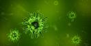 Alerta OMS: Vine virusul Marburg, mult mai periculos decat Ebola si <span style='background:#EDF514'>COVID 19</span>