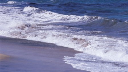 Alerta pe plaja din Sfantu Gheorghe, din cauza unui plic de zahar vanilinat