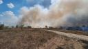 Incendiu foarte aproape de <span style='background:#EDF514'>PADUREA BANEASA</span>
