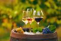 Vin alb, vin rosé sau <span style='background:#EDF514'>VIN ROSU</span>? Ghidul bauturilor de la SmartDrinks.ro pentru ocazii speciale