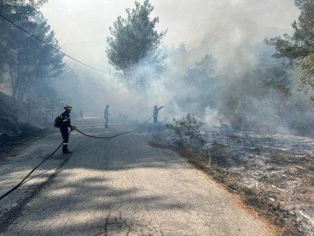 Pompierii romani intervin joi pentru localizarea incendiilor de padure din zona Dadia, Grecia