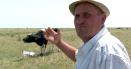 Arsita a pus stapanire pe Romania! Seceta lasa fara hrana mii de vaci si de oi