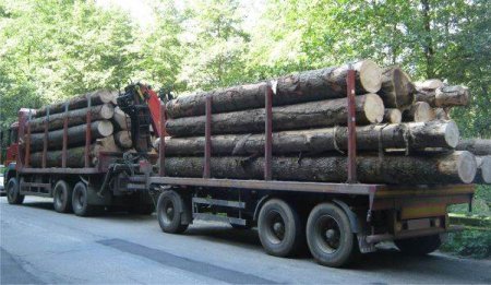 SAR: The future Forestry Code makes it difficult for <span style='background:#EDF514'>JOURNALIST</span>ic investigations on illegal logging