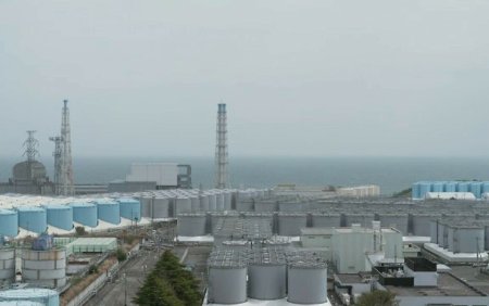 Primele analize de securitate dupa deversarea apei <span style='background:#EDF514'>RADIOACTIVE</span> de la Fukushima se afla sub limita maxima