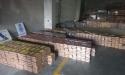 Spania anunta cea mai mare captura de cocaina, ascunsa intr-un transport de banane din Ecuador
