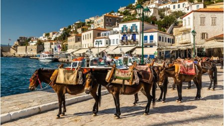 Insula din Grecia unde masinile au fost interzise. Localnicii si turistii folosesc cai si <span style='background:#EDF514'>MAGARI</span> ca mijloace de transport
