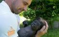 Un pui de gorila de la o gradina <span style='background:#EDF514'>ZOOLOGICA</span> a primit o a doua sansa la viata, dupa ce a fost respins de mama sa