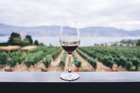 (P) Imbinarea Delicata a Gustului si Aromei: Calatoria prin Diversele Tipuri de Vinuri si Asocierile Culinare Perfecte