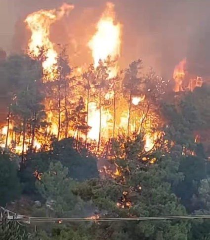 Un incendiu de vegetatie din Grecia distruge o suprafata mai mare decat cea a orasului New York