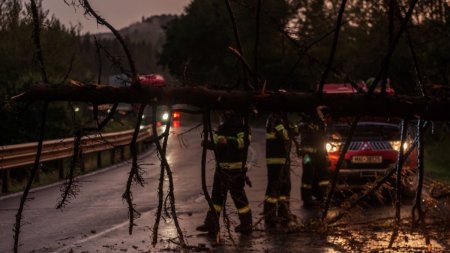 Trafic blocat complet pe DN 15, in Harghita, dupa ce furtuna a rupt mai multi copaci