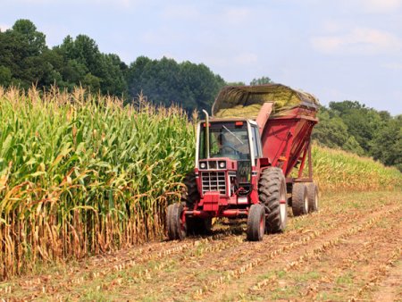 Afacerile traderului de cereale Agricultorul din Bacau, controlat de antreprenorul Ilie Mihai, au crescut cu 20,4% in 2022, ajungand la 533,4 mil. lei