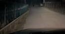 Urs surprins pe strazile orasului Zlatna din Muntii <span style='background:#EDF514'>APUSENI</span>. Animalul a fost alungat cu petarde VIDEO