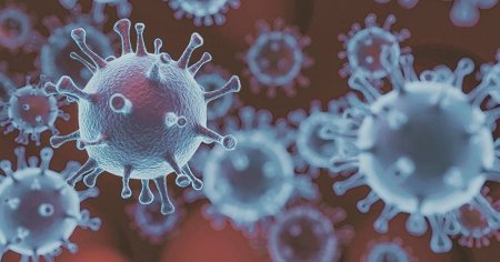 O noua varianta a virusului COVID-19 a fost depistata in Europa. Pirola are un numar mare de <span style='background:#EDF514'>MUTATII</span>