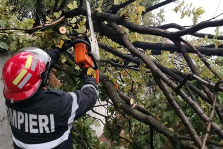 Barbat ranit dupa ce un copac a cazut pe un bulevard aglomerat din Bucuresti