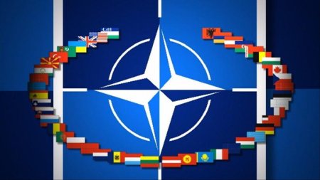 NATO isi anunta solidaritatea dupa incidentul din Romania