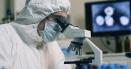 O echipa de cercetatori chinezi a reusit sa creasca celule renale umane in embrioni de porc