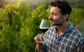 Vinul Merlot, tot ce trebuie sa stii despre cel mai cunoscut <span style='background:#EDF514'>VIN ROSU</span> si unul dintre cele mai accesibile