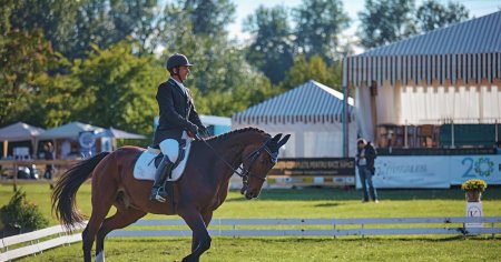 Karpatia Horse Show 2023: cea de-a opta editie, calificativ pentru Jocurile Olimpice de la Paris