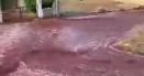 VIDEO Inundatie cu <span style='background:#EDF514'>VIN ROSU</span> in Portugalia. Doua rezervoare uriase s-au spart, localnicii au privit cum le trece vinul pe la poarta