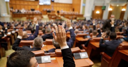 Camera Deputatilor: Proprietarii de <span style='background:#EDF514'>TERENURI</span>, obligati sa curete ambrozia in 15 zile de primirea unui avertisment