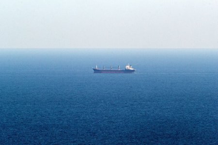 Primele nave de cereale au sosit in Ucraina pe un nou coridor maritim din Marea Neagra, care evita un eventual atac al Rusiei