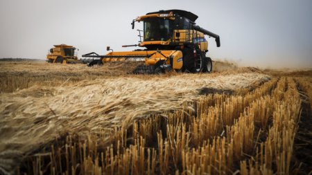UE indeamna Polonia, Ungaria si Slovacia sa fie constructive in privinta cerealelor din Ucraina