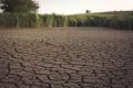 ONU: Criza climatica reprezinta o bariera majora in calea combaterii foametei