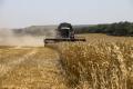 Producatorii de cereale din Bulgaria protesteaza la granita