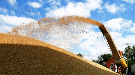Ucraina da in judecata Polonia, Ungaria si Slovacia din cauza restrictiilor impuse importurilor de cereale