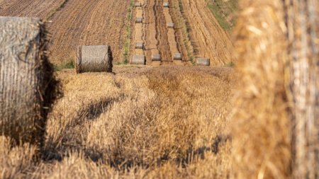 Comisia Europeana propune reinnoirea pe 10 ani a <span style='background:#EDF514'>AUTORIZATIE</span>i UE pentru erbicidul glifosat, folosit de agricultori