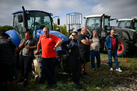 Importurile de seminte de floarea <span style='background:#EDF514'>SOARELUI</span> din Ucraina, suspendate in Bulgaria, in urma protestelor fermierilor