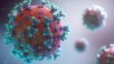 INSP: 53 de cazuri confirmate si doua probabile de infectie cu virusul West Nile