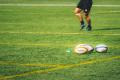 Cupa Mondiala de rugby: Capitanul Frantei a suferit o fractura de pomete