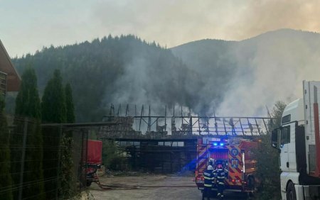 Incendiu puternic la o hala de <span style='background:#EDF514'>PRELUCRAREA LEMNULUI</span> din Suceava. Mobilizare de forte la fata locului