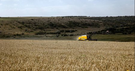 Romania conditioneaza cerealele ucrainene la fel cum masoara apa de pe Bastroe. Ucraina si dualitatea mentalitatii de agresor-victima in fostul URSS