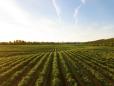 Franta va investi 150 de milioane de dolari in Fondul International pentru Dezvoltare Agricola