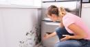4 sfaturi pentru indepartarea mucegaiului din casa