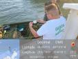 Comisarii Garzii Nationale de Mediu au dat amenzi de 18.000 de lei, dupa un control al activitatii de pescuit comercial in Delta Dunarii / Ei au gasit 45 de unelte de pescuit, unele montate in zone de stricta protectie