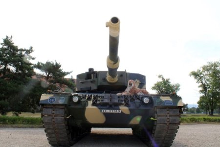 Elvetienii vor vinde statului german tancuri fabricate in Germania