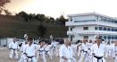 <span style='background:#EDF514'>ARHITECT</span>ura miscarii in karate traditional
